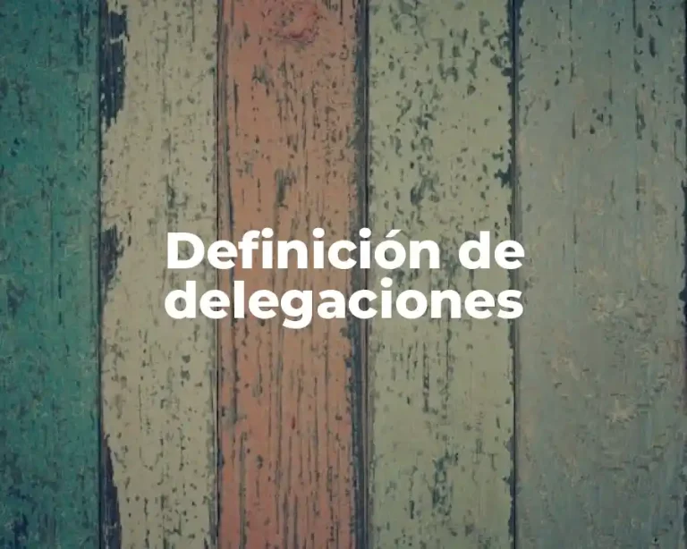 Definición de delegaciones