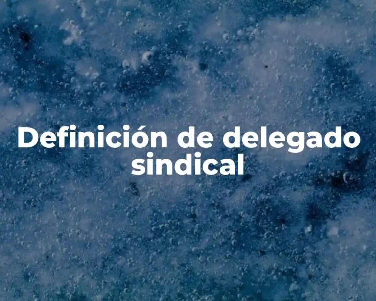 Definición de delegado sindical
