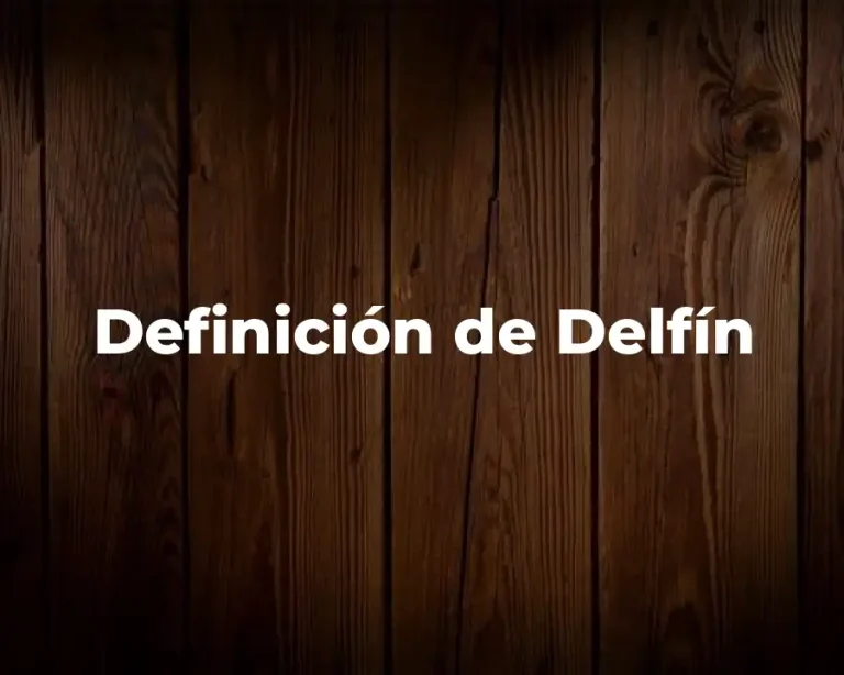 Definición de Delfín