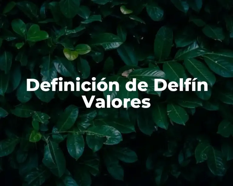 Definición de Delfín Valores