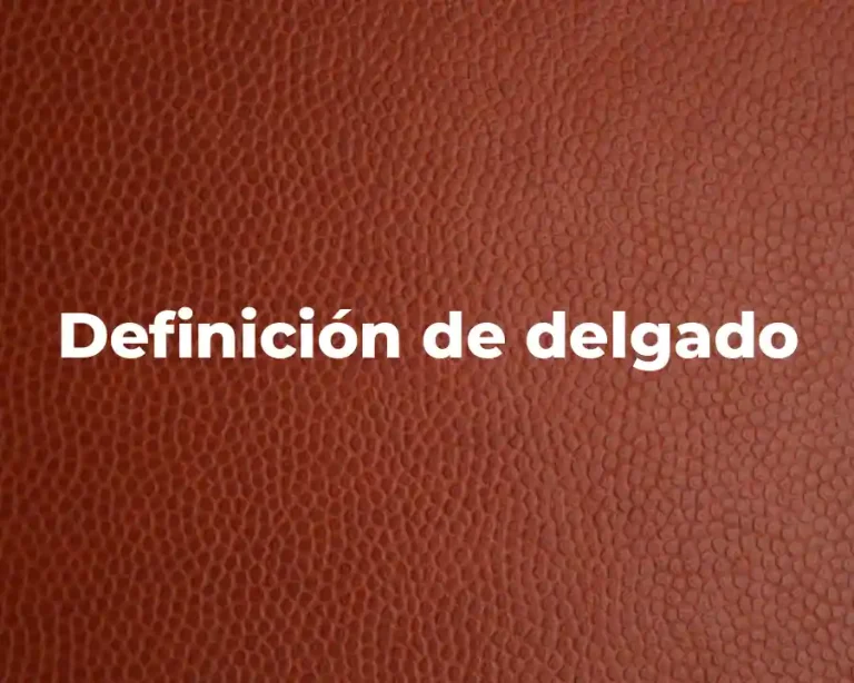Definición de delgado