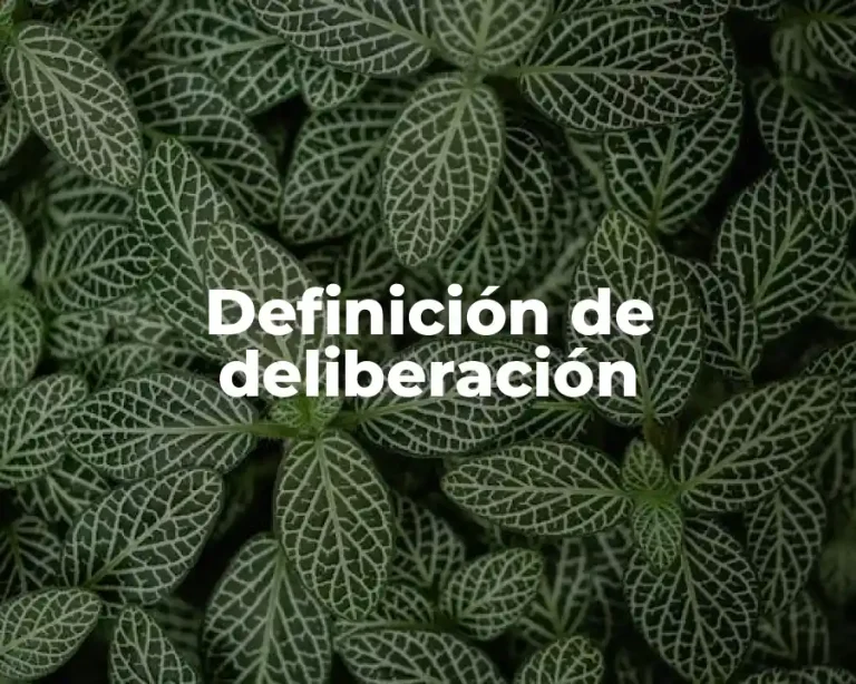 Definición de deliberación