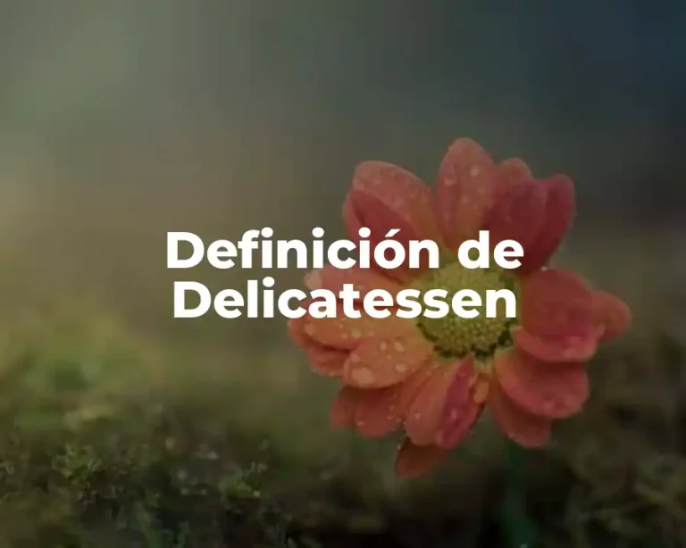 Definición de Delicatessen