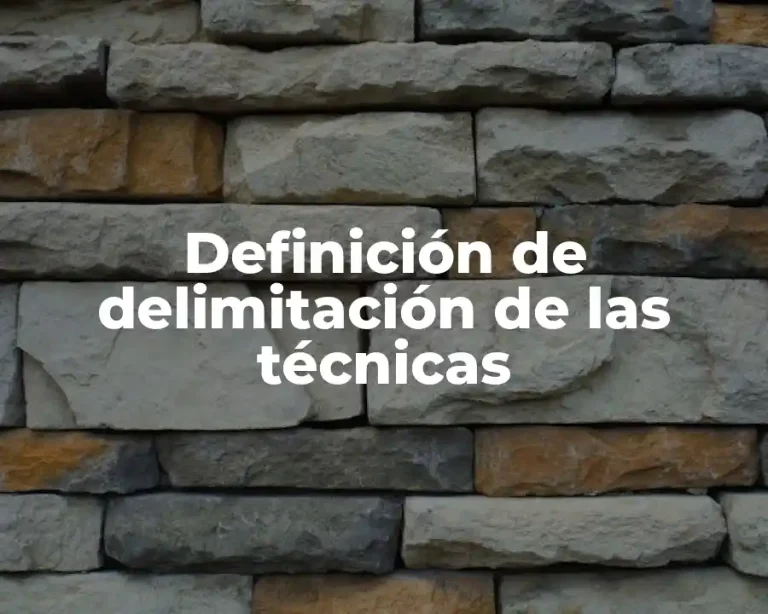 Definición de delimitación de las técnicas