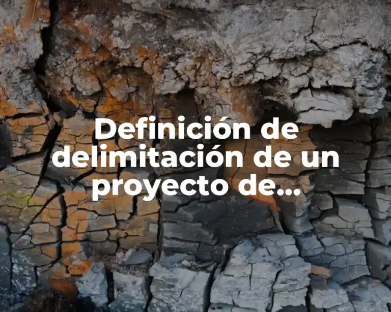 Definición de delimitación de un proyecto de investigación