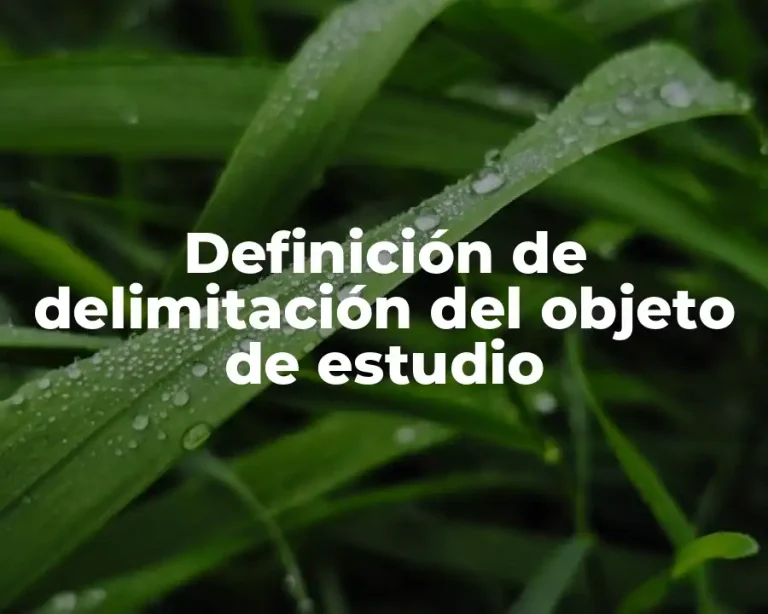 Definición de delimitación del objeto de estudio