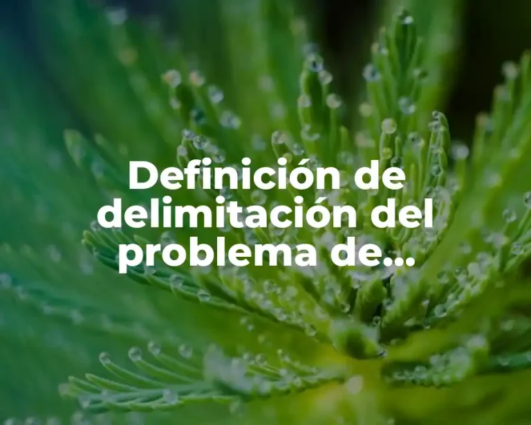 Definición de delimitación del problema de investigación