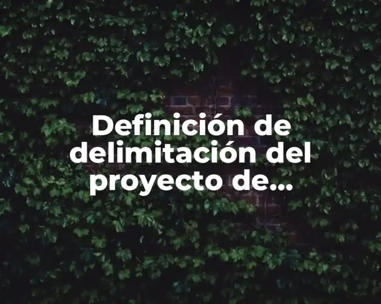 Definición de delimitación del proyecto de investigación