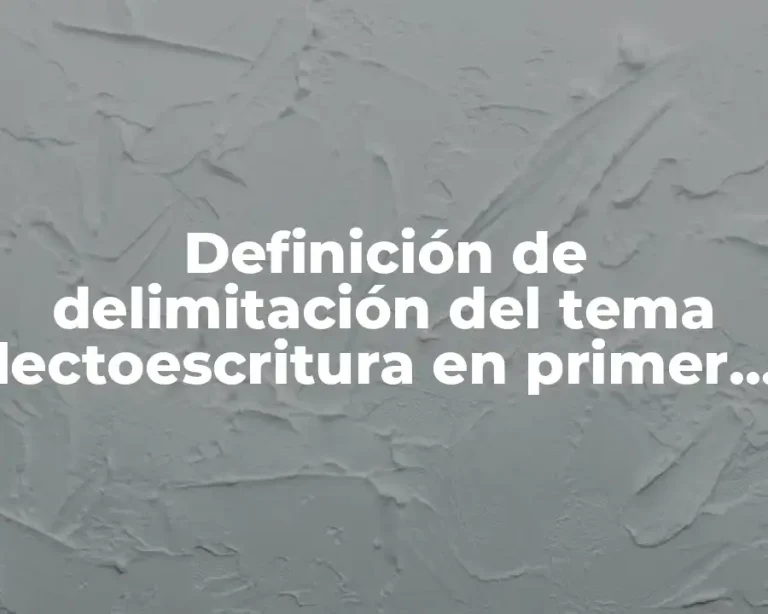 Definición de delimitación del tema lectoescritura en primer primaria