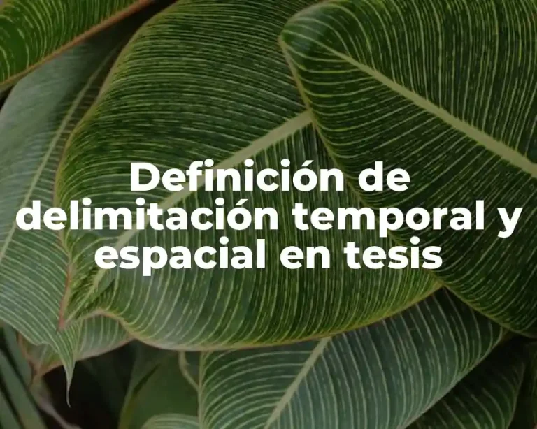 Definición de delimitación temporal y espacial en tesis