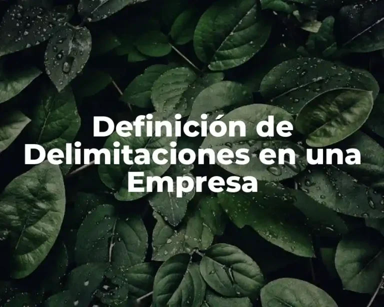 Definición de Delimitaciones en una Empresa