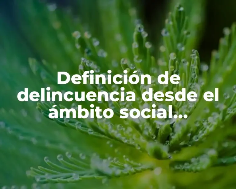 Definición de delincuencia desde el ámbito social antropológico