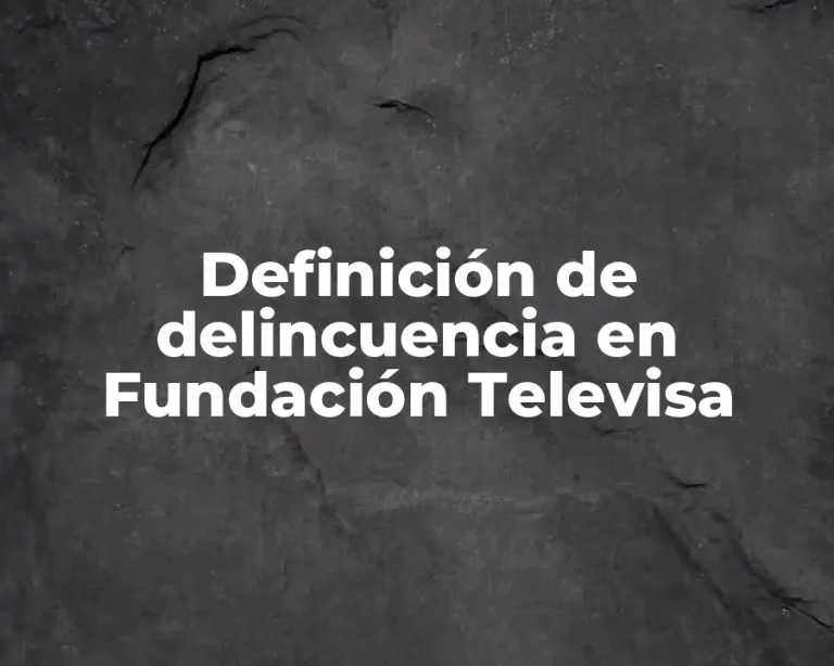 Definición de delincuencia en Fundación Televisa
