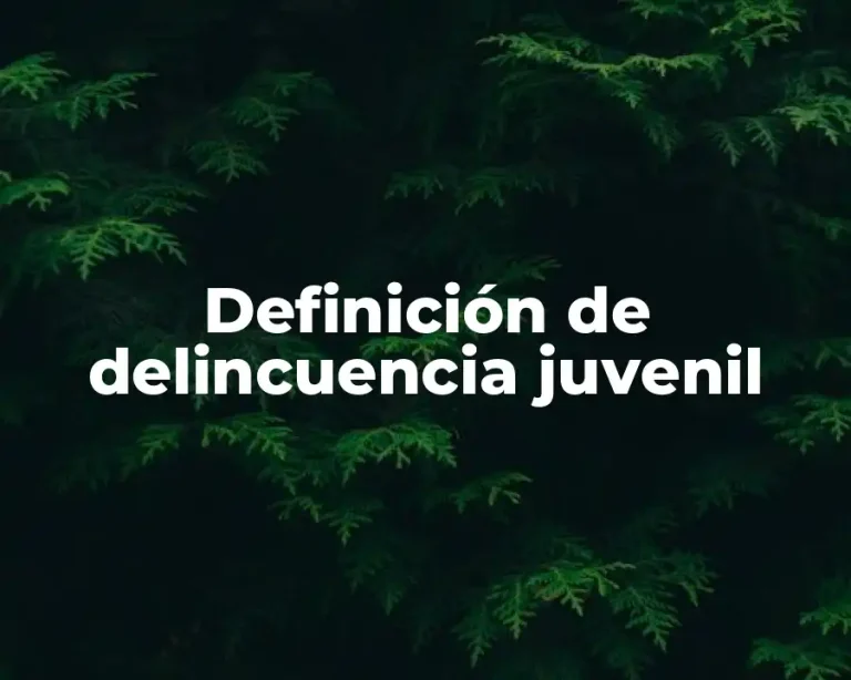 Definición de delincuencia juvenil