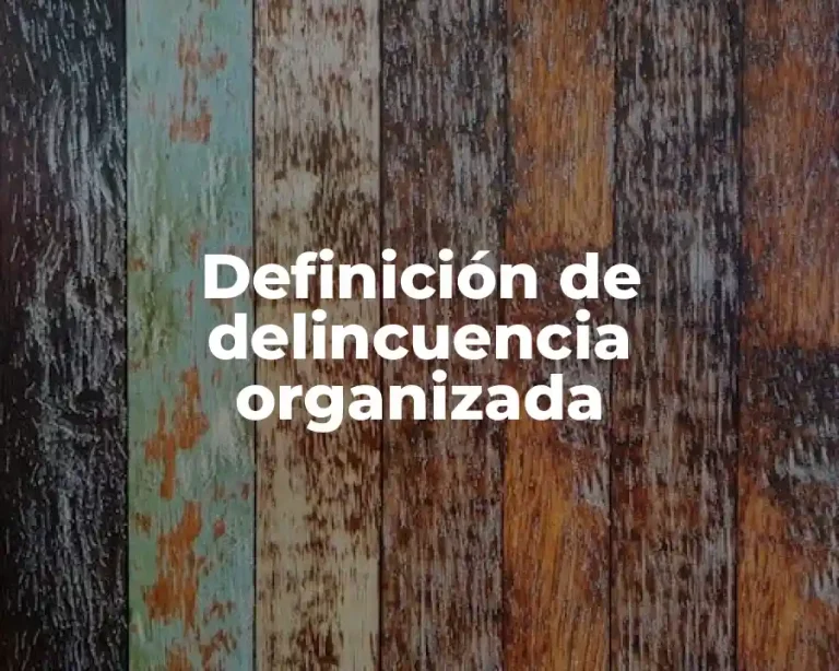 Definición de delincuencia organizada