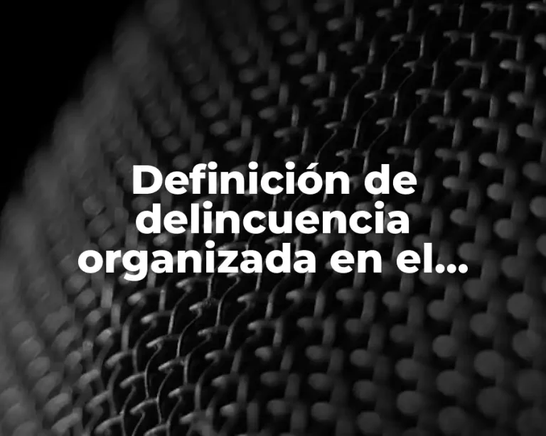 Definición de delincuencia organizada en el ámbito nacional