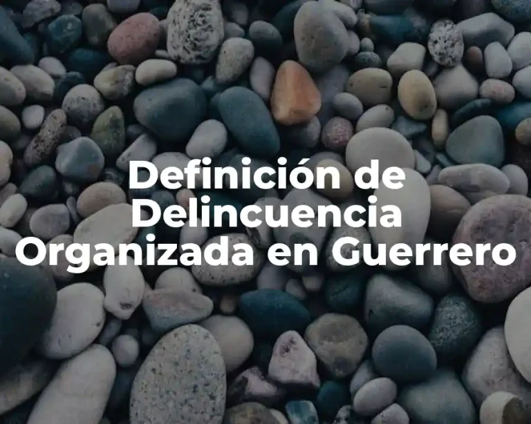 Definición de Delincuencia Organizada en Guerrero