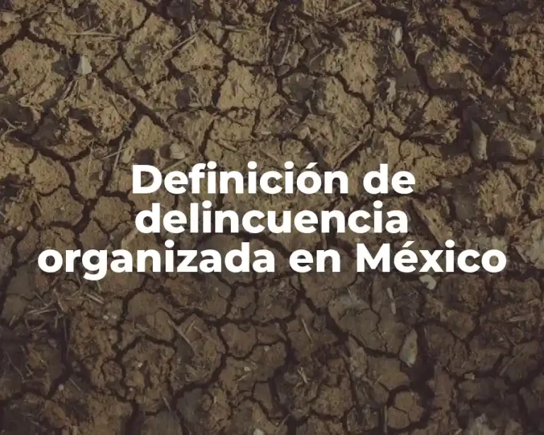 Definición de delincuencia organizada en México