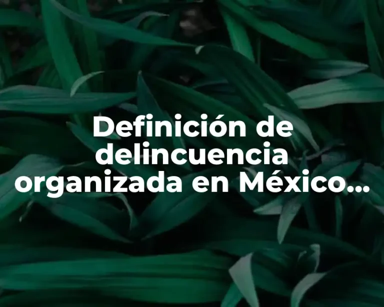 Definición de delincuencia organizada en México aplicando las leyas
