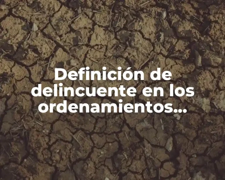 Definición de delincuente en los ordenamientos jurídicos