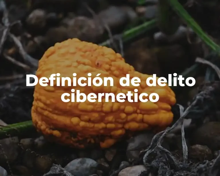 Definición de delito cibernetico