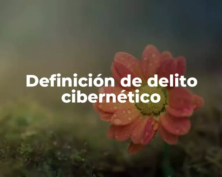 Definición de delito cibernético