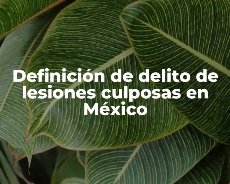 Definición de delito de lesiones culposas en México