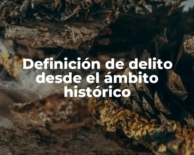 Definición de delito desde el ámbito histórico