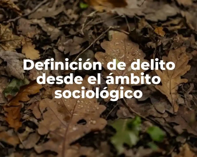 Definición de delito desde el ámbito sociológico