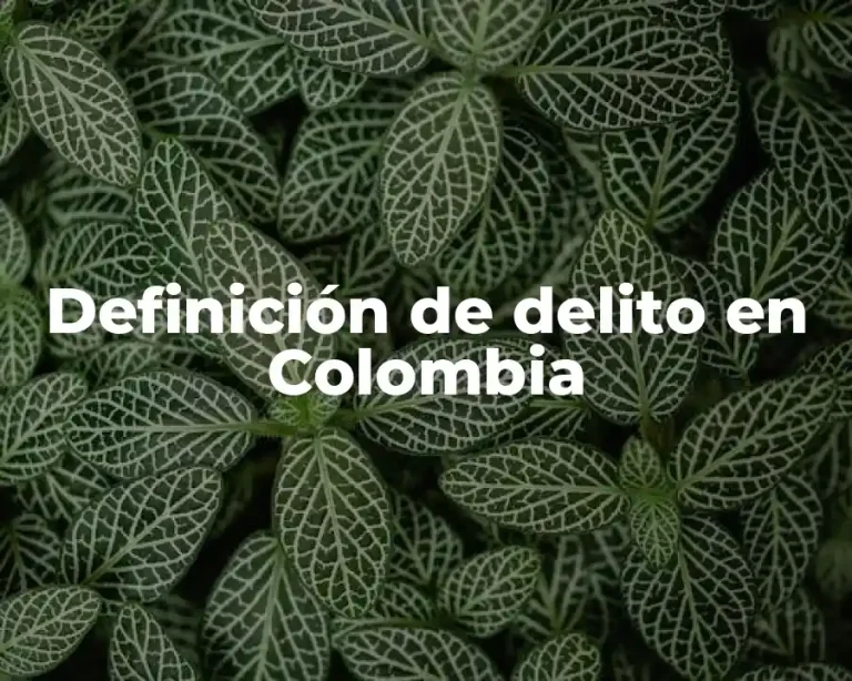 Definición de delito en Colombia