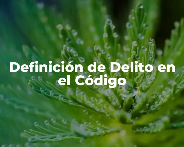 Definición de Delito en el Código