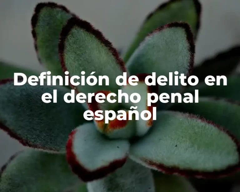 Definición de delito en el derecho penal español