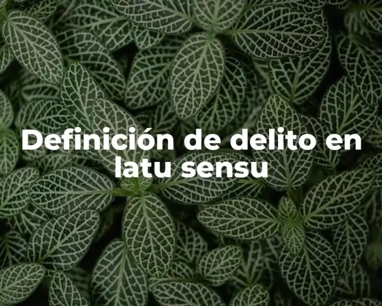 Definición de delito en latu sensu