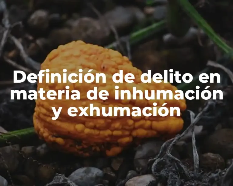 Definición de delito en materia de inhumación y exhumación