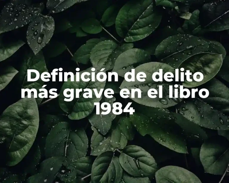 Definición de delito más grave en el libro 1984