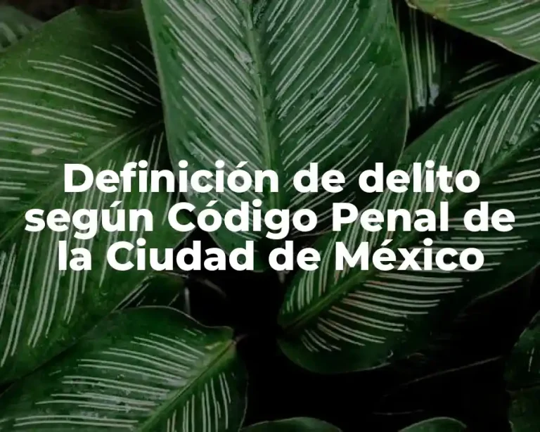 Definición de delito según Código Penal de la Ciudad de México