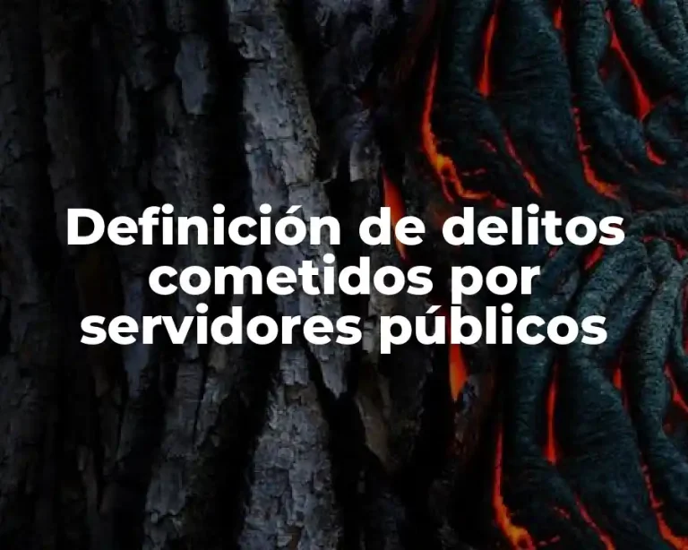 Definición de delitos cometidos por servidores públicos