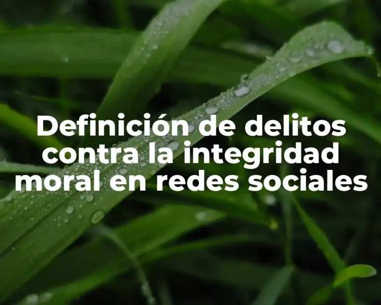 Definición de delitos contra la integridad moral en redes sociales