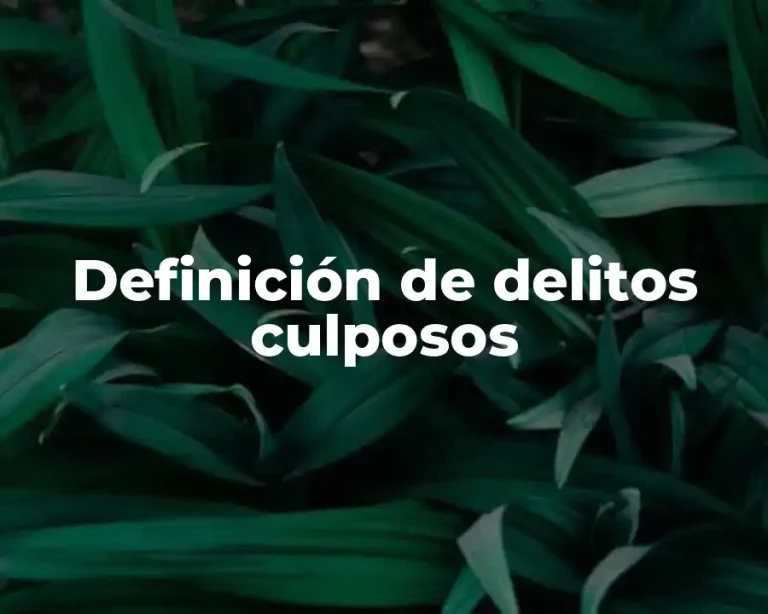 Definición de delitos culposos