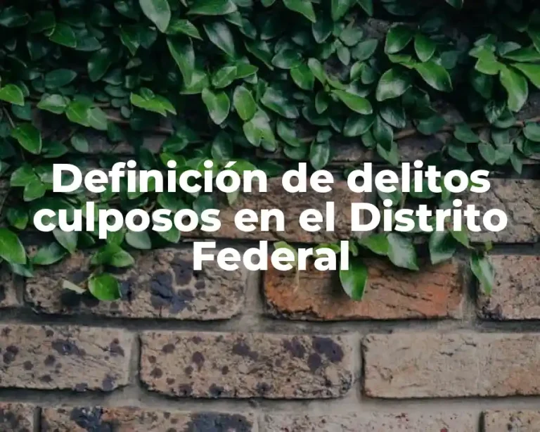 Definición de delitos culposos en el Distrito Federal