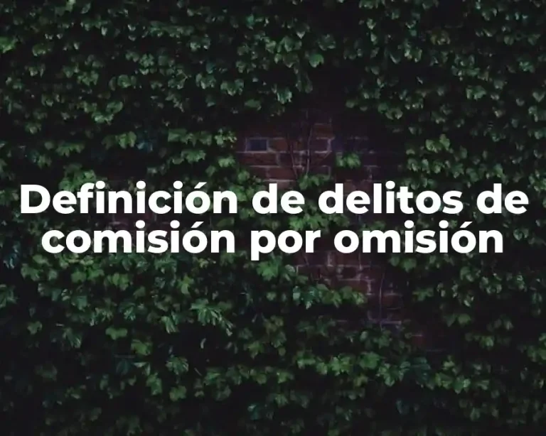 Definición de delitos de comisión por omisión