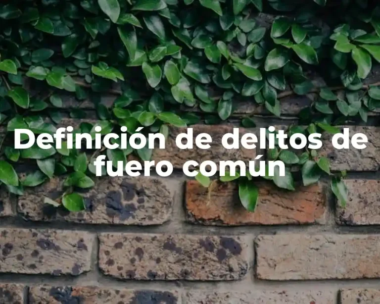 Definición de delitos de fuero común