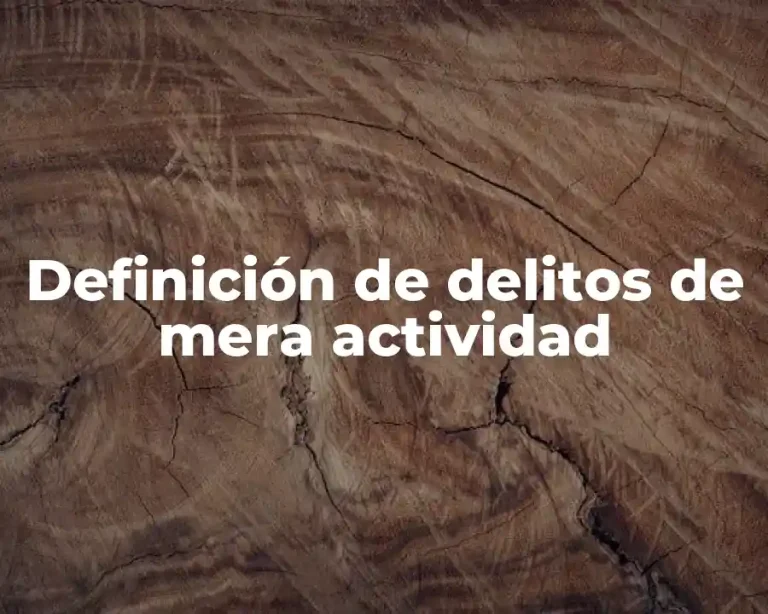 Definición de delitos de mera actividad