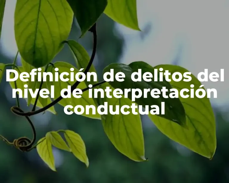 Definición de delitos del nivel de interpretación conductual