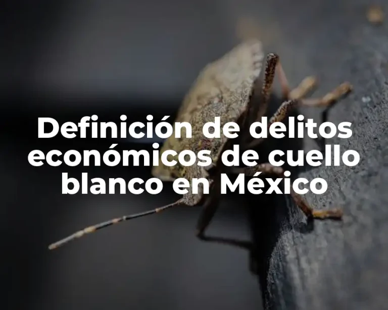 Definición de delitos económicos de cuello blanco en México