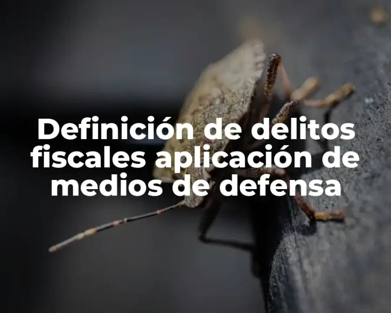 Definición de delitos fiscales aplicación de medios de defensa