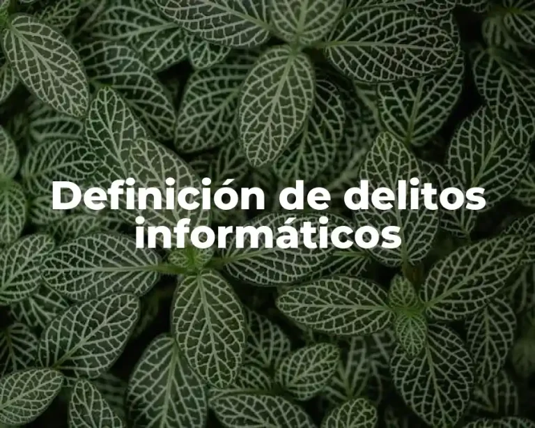 Definición de delitos informáticos