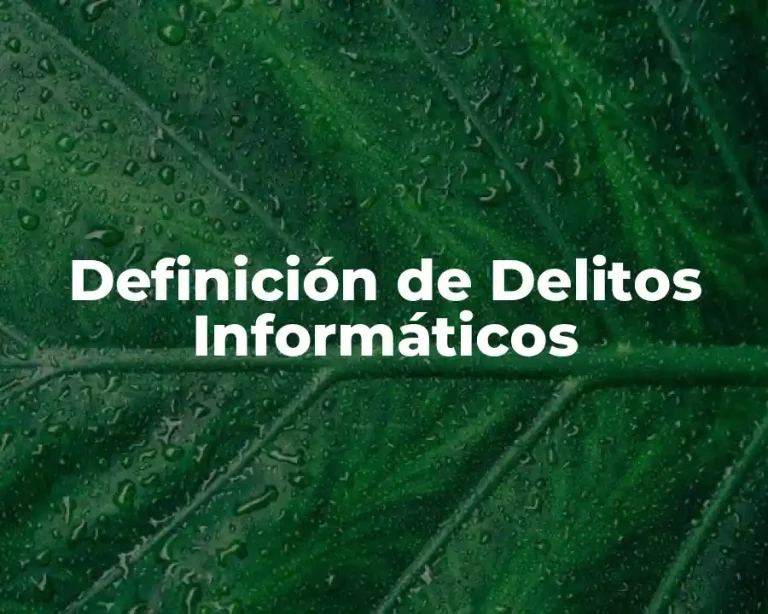 Definición de Delitos Informáticos