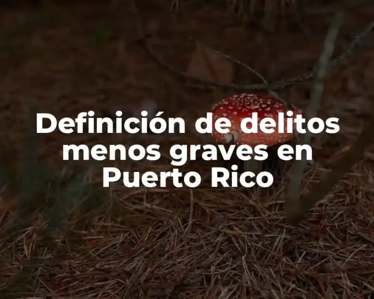 Definición de delitos menos graves en Puerto Rico