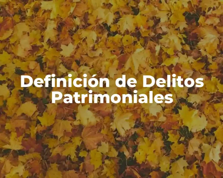 Definición de Delitos Patrimoniales